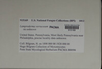 Image Associated With the Occurence